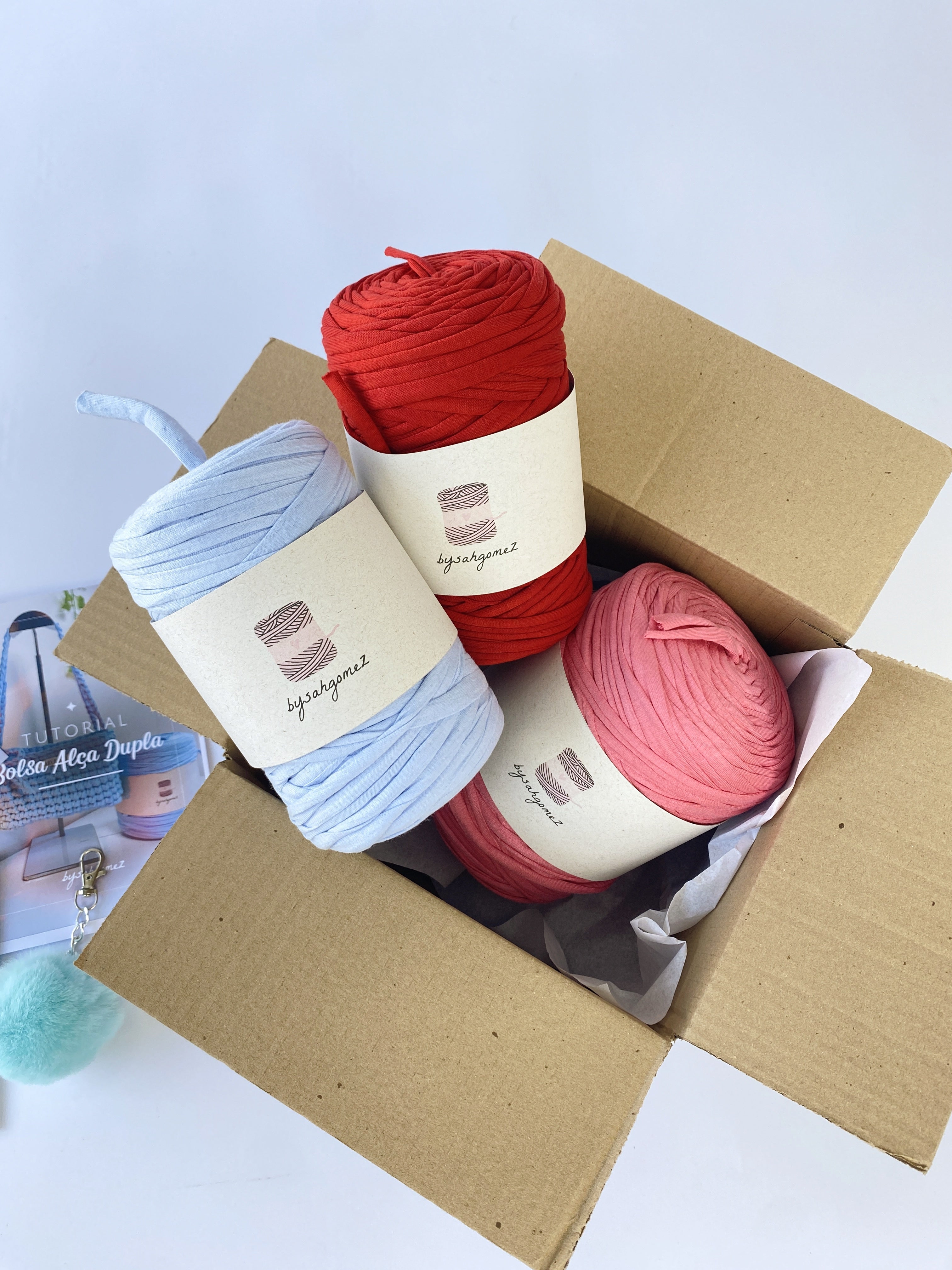 Kit Iniciante de Crochê
