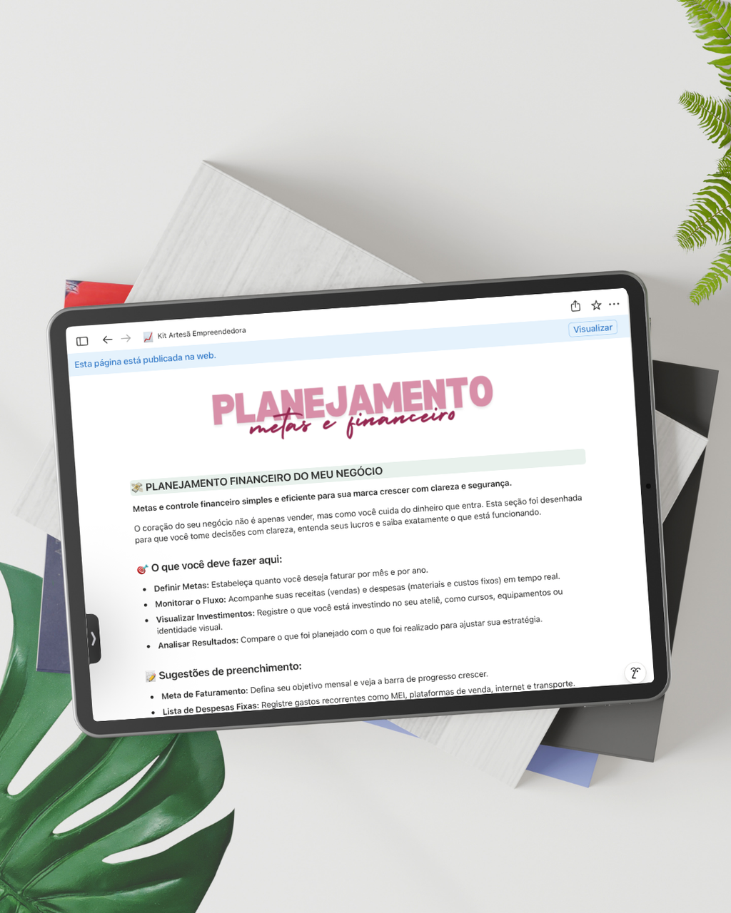 Kit Artesã Empreendedora (Notion)