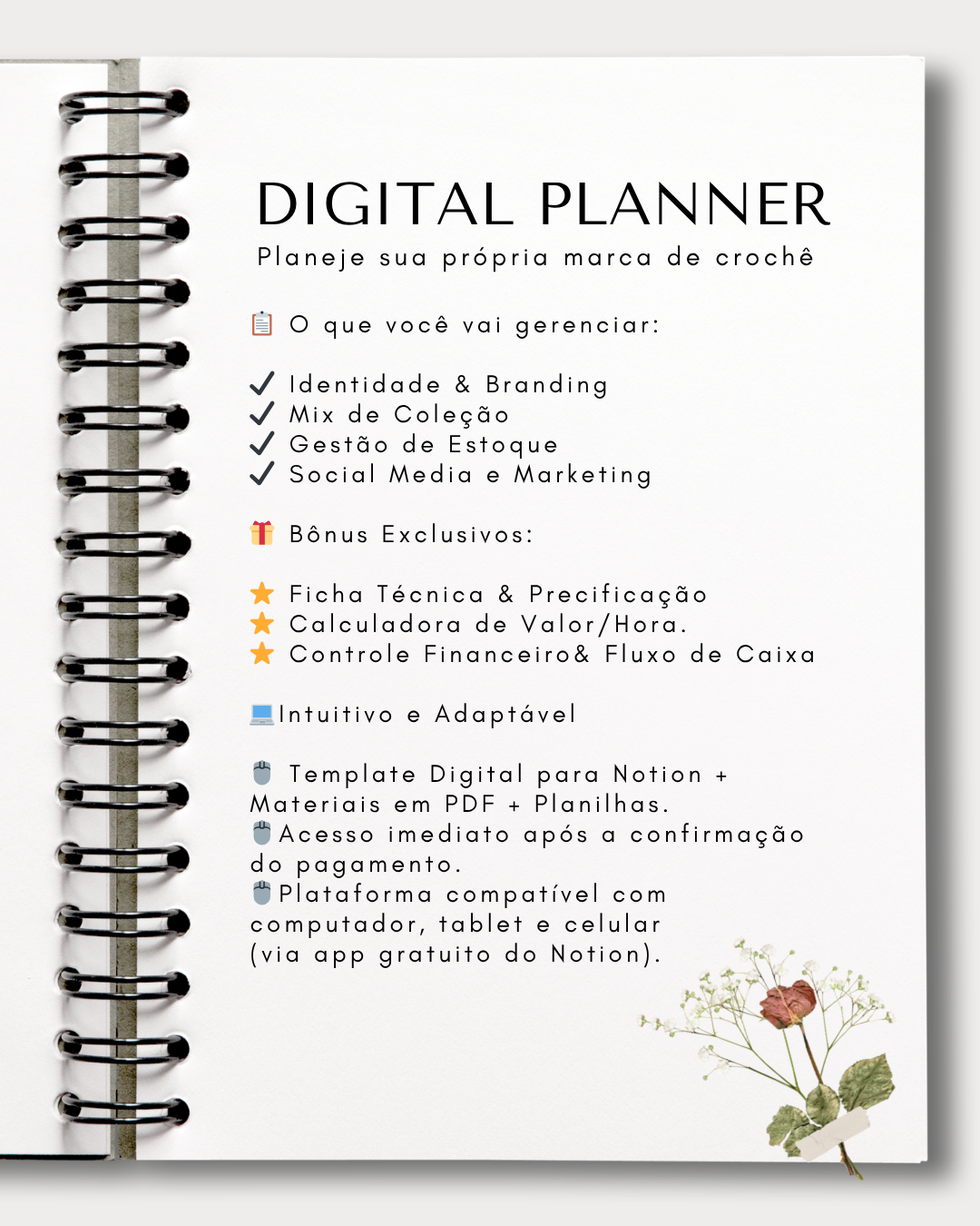 Kit completo - Planificación de marca (Notion)